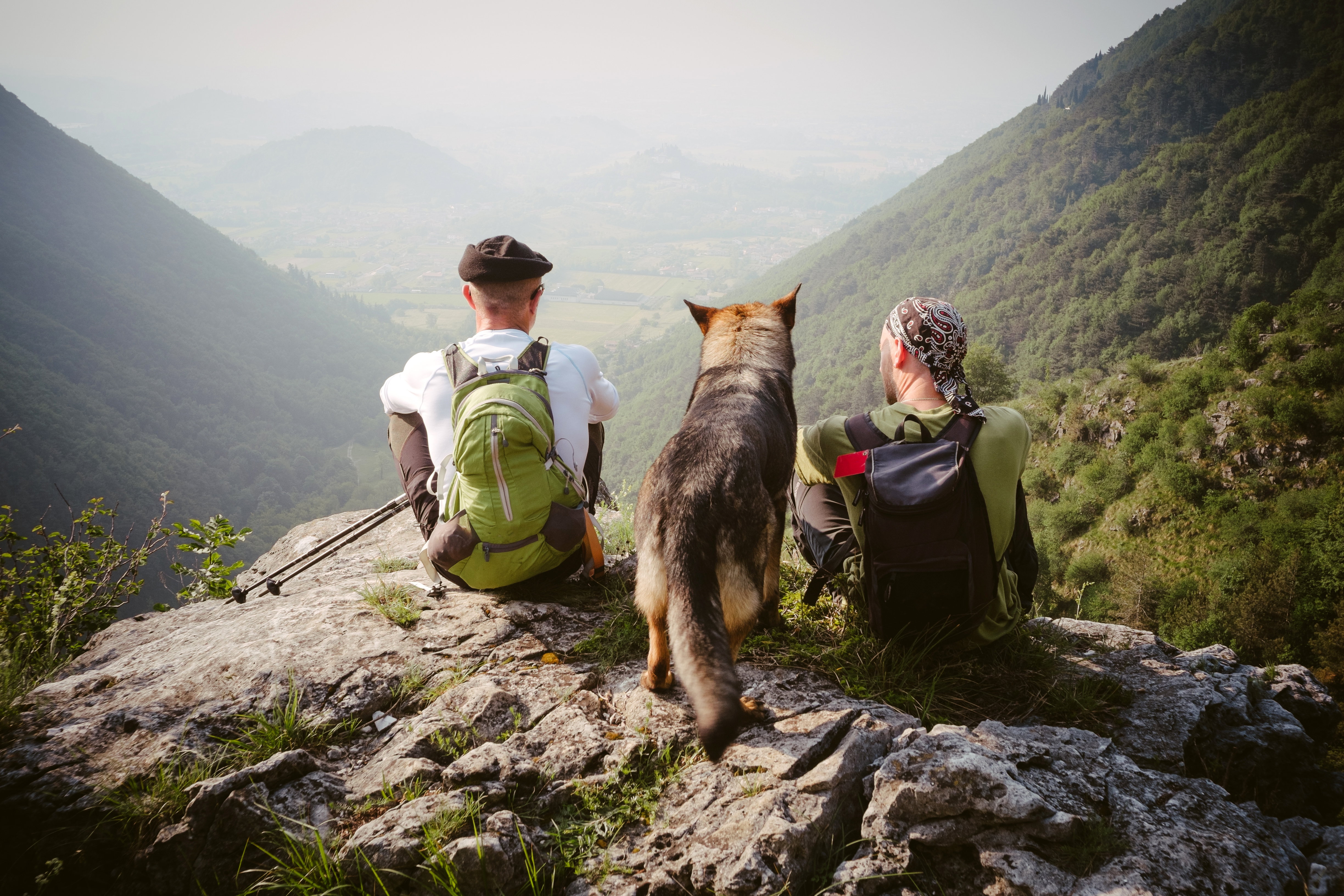 Wanderung mit Hund