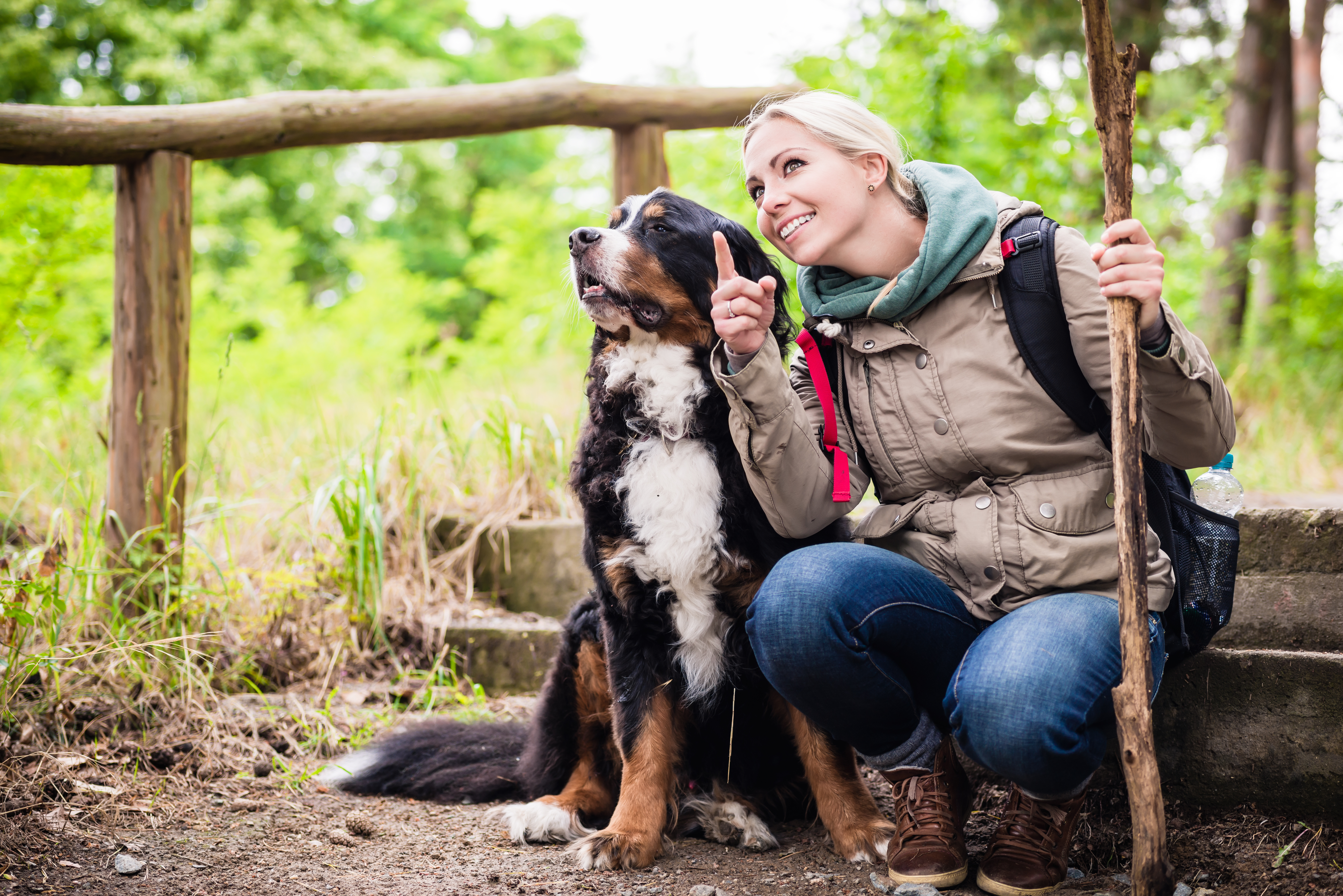 Hundeurlaub